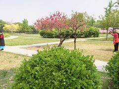 -太阳宫公园