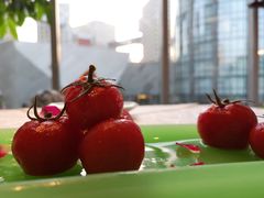 -蔓兰家的四季S0餐厅·融合菜(当代MOMA店)