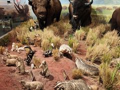 -陕西自然博物馆