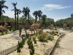 -东平国家森林公园