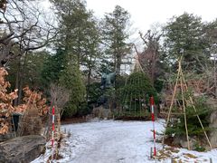 -北海道神宫