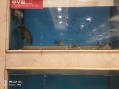 -红菜坊·烤鸭·川鲁宴(石园店)