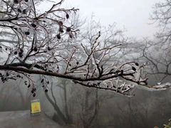 -自游人·美食一楼·地道徽菜(三十年名店)