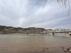 -靖远三虎特色羊羔肉
