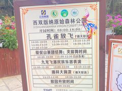 -西双版纳原始森林公园