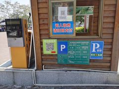 -大湾区中央湿地公园
