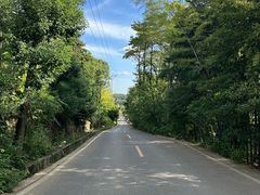 -铁山坪森林公园