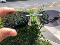 -横岗眼镜城