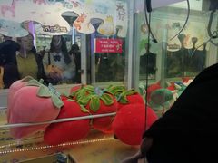 -PAWTOY爪e玩偶店(天兴罗斯福店)