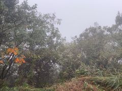 -余姚市灵岩禅寺