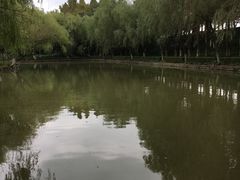 -瀛洲公园