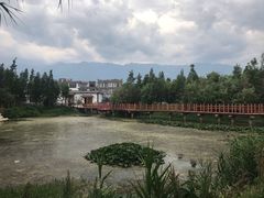 -才村湿地公园