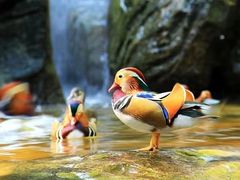 -大连老虎滩海洋公园