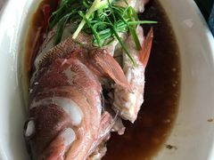 -四川小胡子海鲜(丁村万人海鲜广场店)