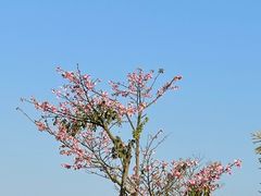 -黔大人·贵州花溪牛肉粉(宝能太古城店)