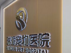 -瑞派康怡24h宠物医院·犬猫医疗中心·微创绝育(瑞景分院)