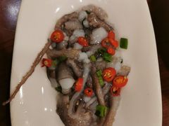 活八爪鱼-青瓦餐厅·生鱼片·韩园烤肉(西塔店)