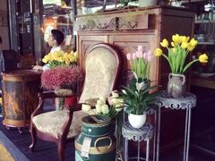 -杂咖zacup(领展中心城店)