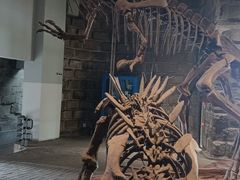 -自贡恐龙博物馆