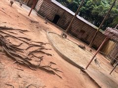 -深圳野生动物园