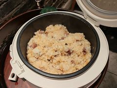 -大鸽饭(动物园店)
