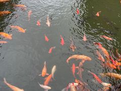 -威海华夏城景区