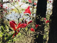 -天姥山