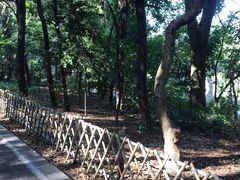 -华南国家植物园-售票处