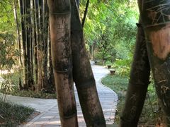 -四川大学(望江校区)