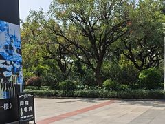 -喜茶(广州番禺奥园广场店)