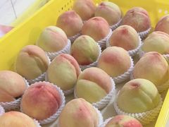 -老袁家蜜桃农场·阳山水蜜桃