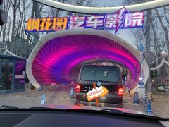 -枫花园汽车电影院(朝阳公园店)