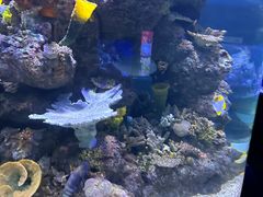 -成都浩海立方海洋公园