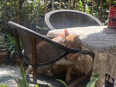 -默迹咖啡馆