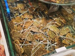 -健跳小海鲜(人民路店)