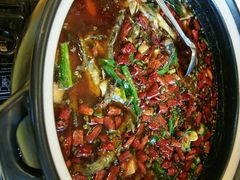 android_upload_pic-胖大姐黄辣丁鱼庄(新津店)