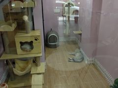 -联合动物医院(光谷诊疗中心)