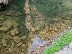 -湖洞水自然风景区