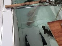 -东北农家院铁锅炖