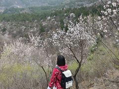-妙峰山风景名胜区