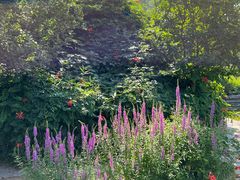 -国家植物园南园