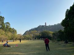 -南沙蒲洲花园