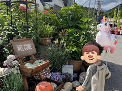 -京北渔家傲