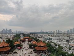 -黄鹤楼公园(黄鹤楼)