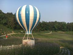 -大塘金香草谷