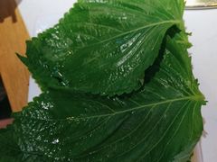 -杨记齐齐哈尔烤肉(总店)