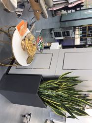 -FUTURE HN男士发型风格设计