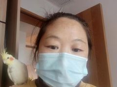 -田螺阿姨自营月嫂·育儿嫂(高新店)
