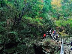 -鸡冠洞风景区
