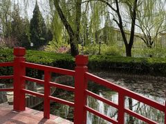 -玲珑塔公园